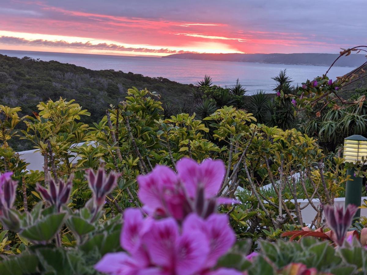 Villa Cape Garden Route Wildernis Zewnętrze zdjęcie