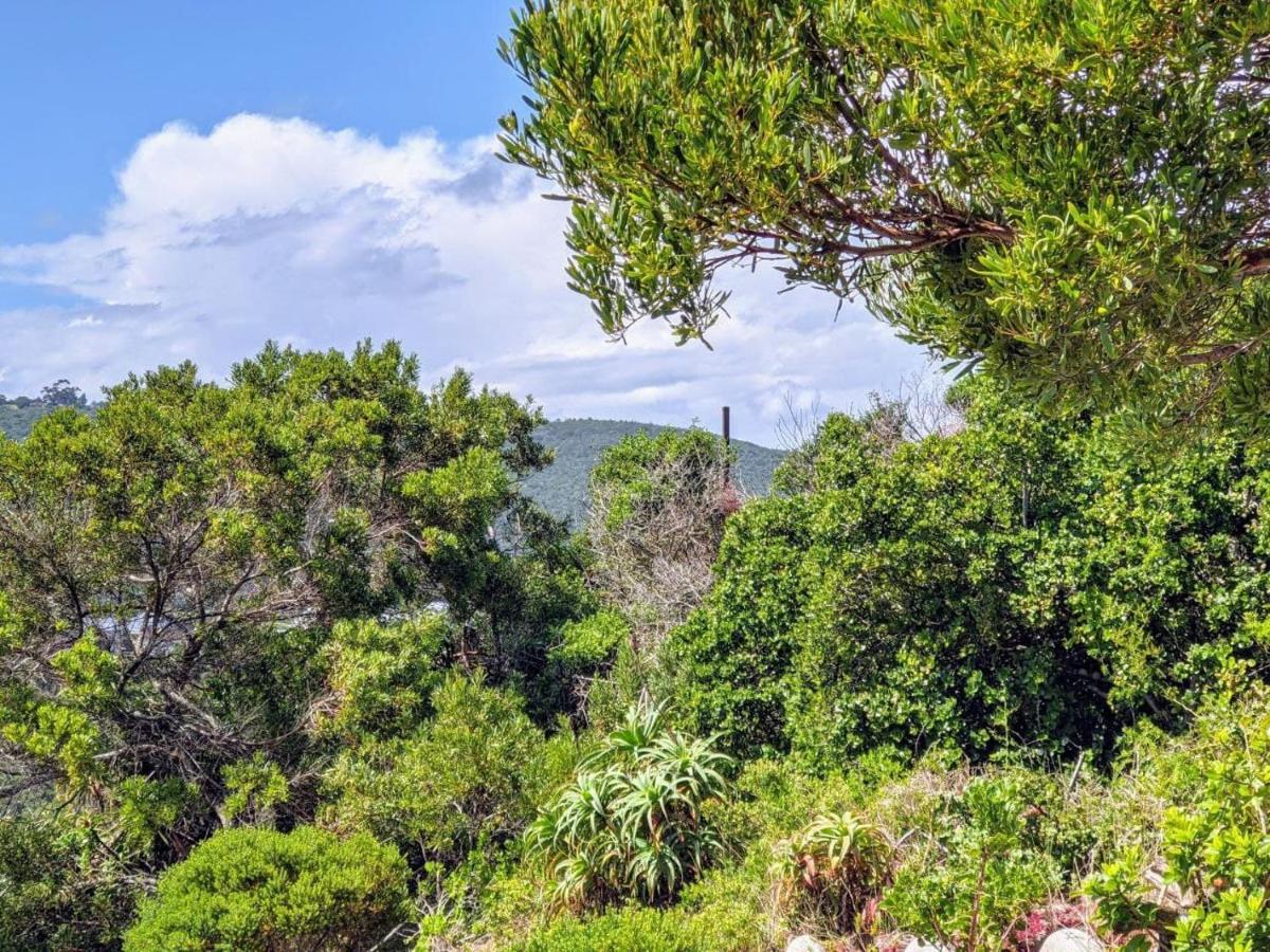 Villa Cape Garden Route Wildernis Zewnętrze zdjęcie